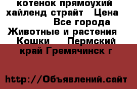 котенок прямоухий  хайленд страйт › Цена ­ 10 000 - Все города Животные и растения » Кошки   . Пермский край,Гремячинск г.